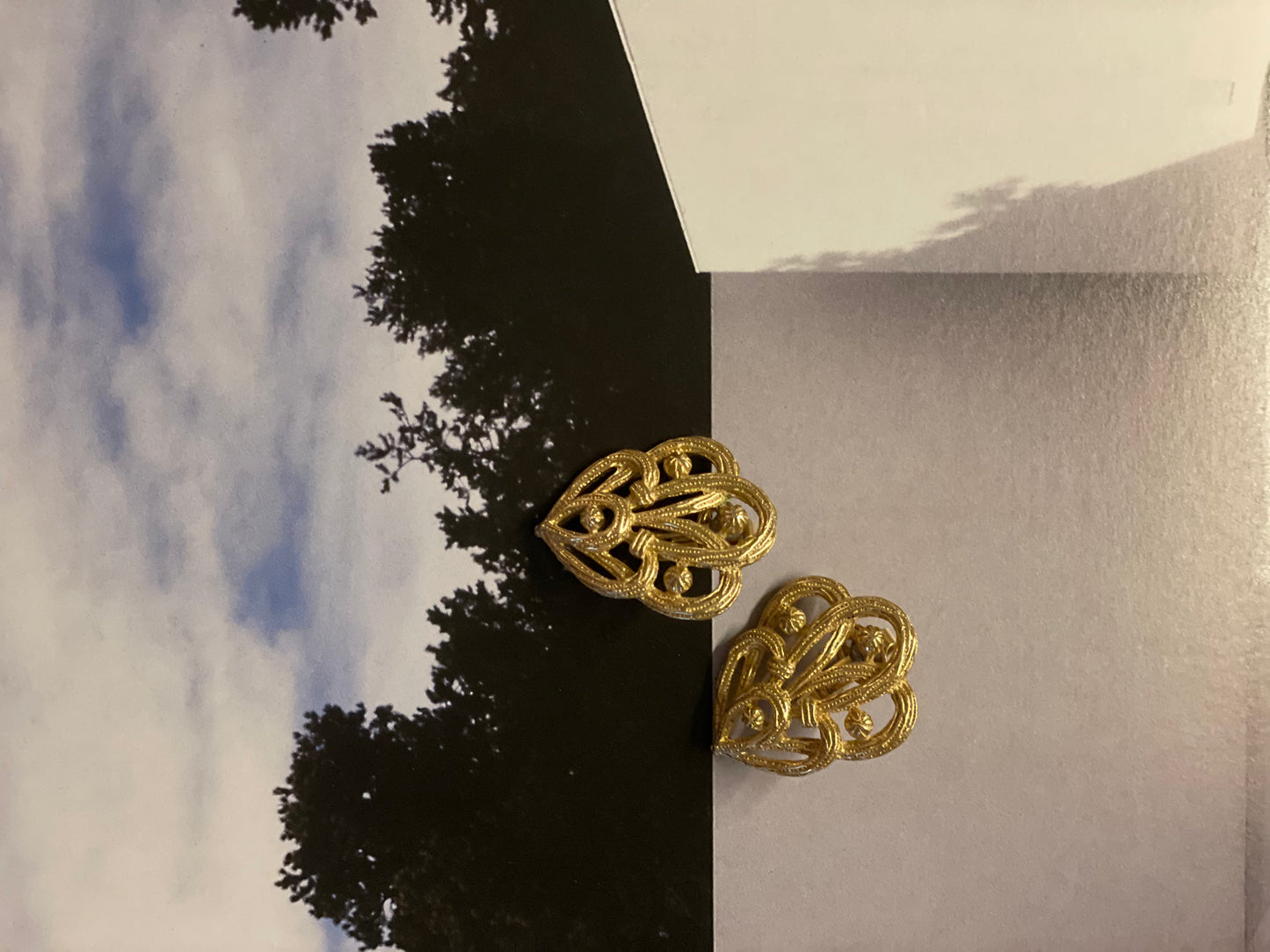 Leaves of Gold